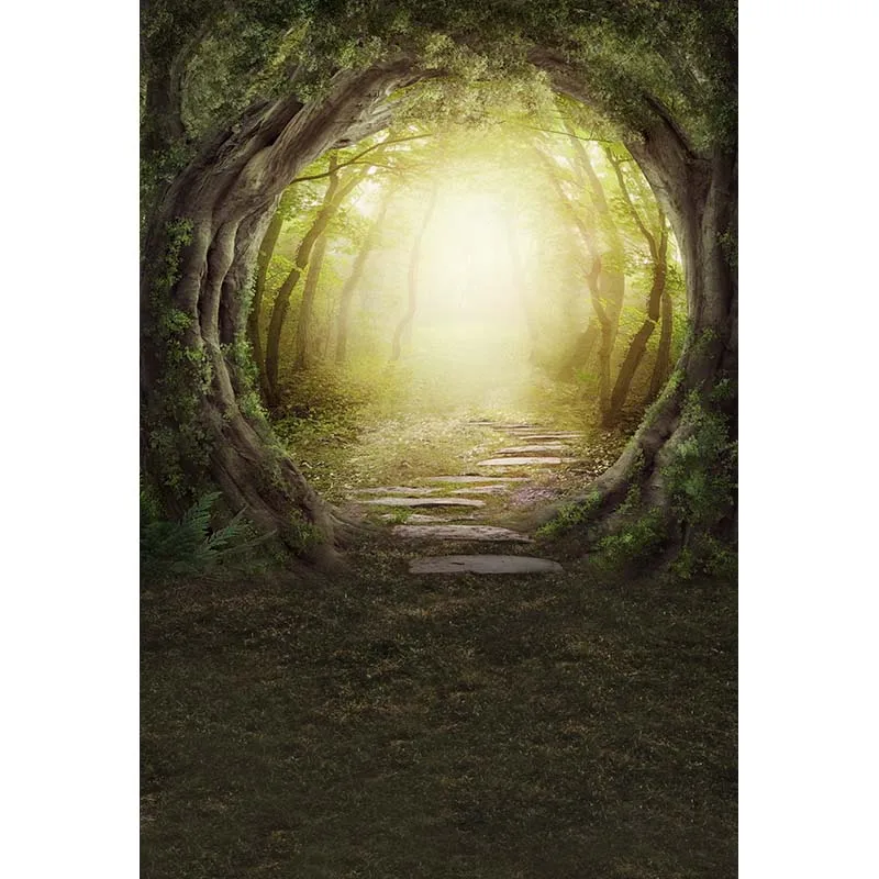 Vinyl Photography Background Computed Printed Fairy Tale Vintage Castle Cinderella Children Backdrops for Photo Studio CM-6742