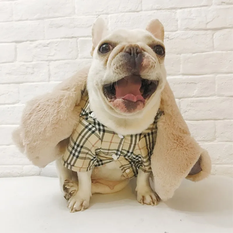 dog sweaters (4)