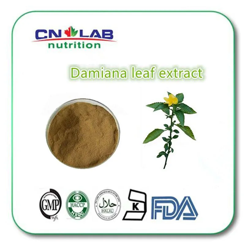 GMP Factory Supply natural damiana leaf extract powder 1000g high quality natural damiana leaf extract spot supply of quality echinacea extract extract powder concentrated powder cheap high quality low price guarantee