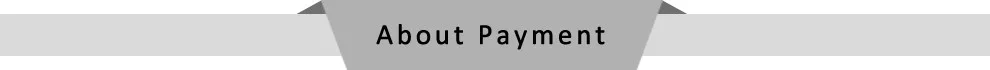 About Payment