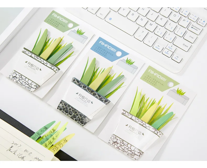 5271465020_1685054807