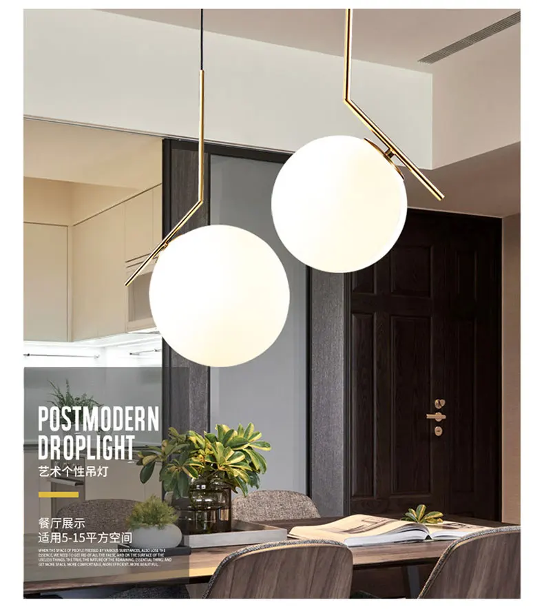 pendant lamp (8)