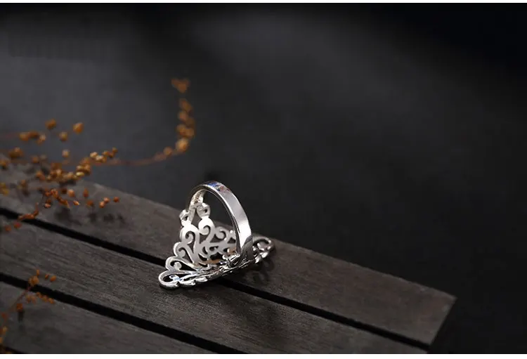 TB2.viaA0RopuFjSZFtXXcanpXa_!!201690925