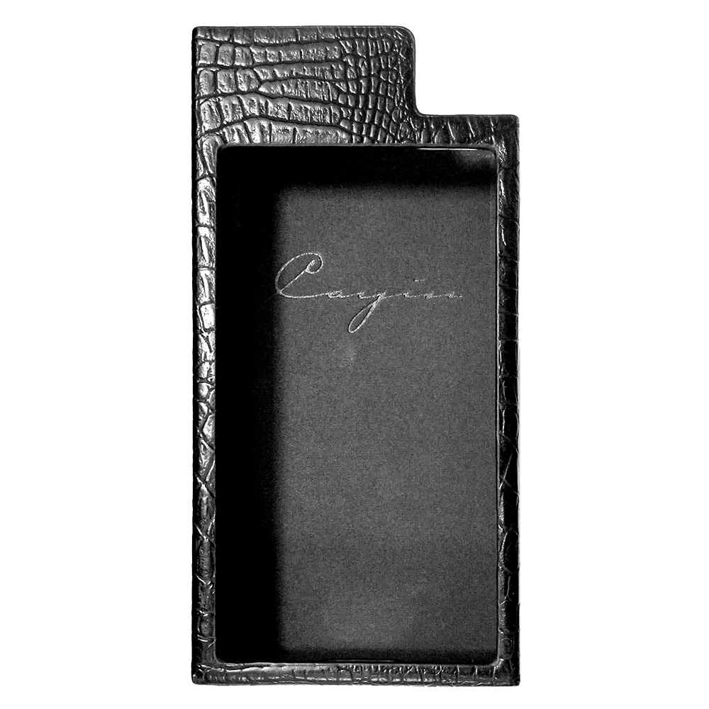 case (1)