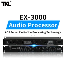 TKL 2 channels Sound Audio Exciter Processor speaker management pro audio processor protea pro stage audio equipment