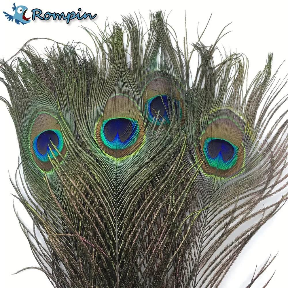 Buy Rompin 10pcs Natural Peacock Tail Eye Hair for Fly