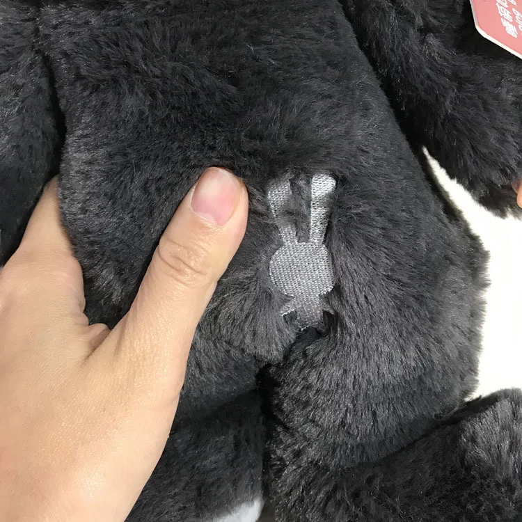 B6