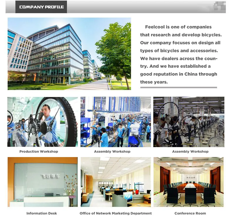 COMPANY PROFILE_