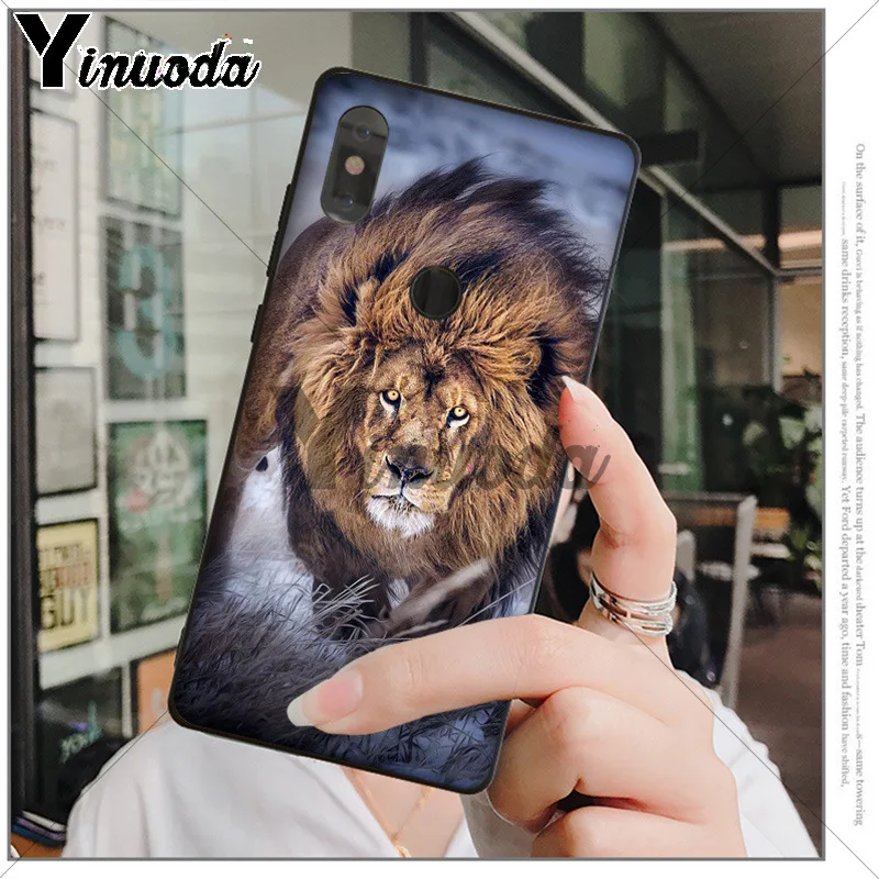 Animals The lion