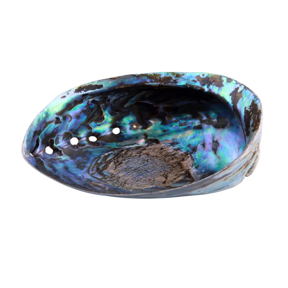 

yaye 1pc Aabalone Seashells for Smudging Natural Sea Shell Home Decoration & Cleansing Starter Kit 15-16cm