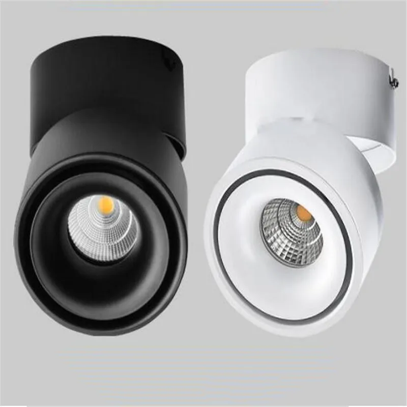 

Free shipping 15W Warm Cold White Surface Mounted Indoor down Lighting led ceiling lamp light AC110-260V