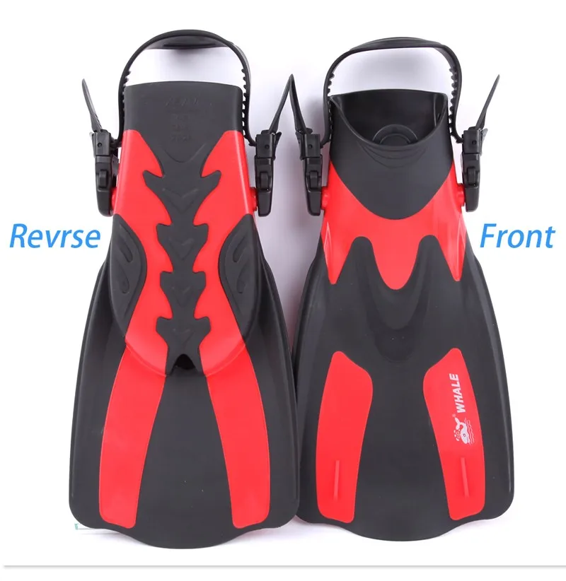 HTB1ewsfKXXXXXXDXXXXq6xXFXXXj