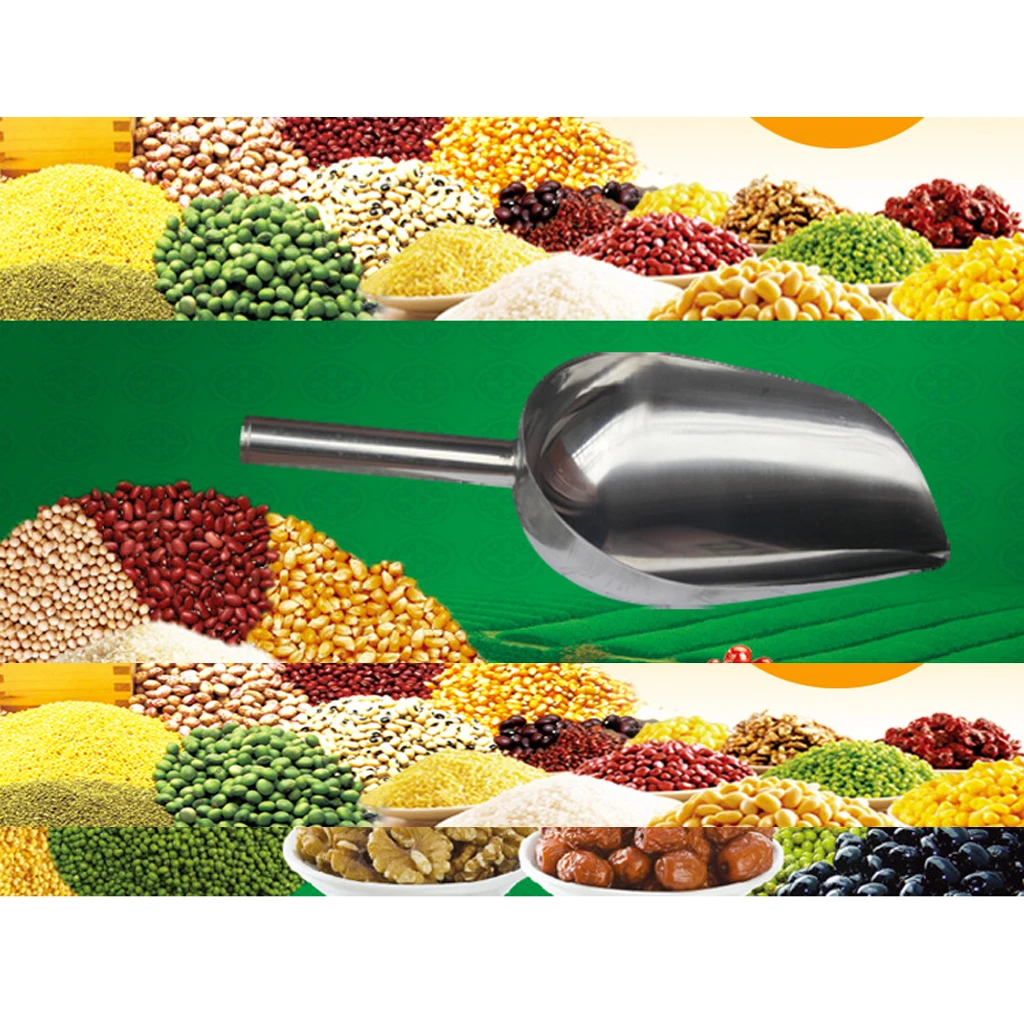 Stainless Steel Ice Shovel Scraper Food Buffet Candy Scoops Shops Tools 10'  Stainless Ice Scoop Shovel Tea Scoops