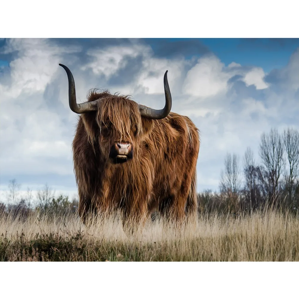 Pazen Battaniye çekyat Atmak Konfor Sıcaklığı Yumuşak Peluş Kahverengi
