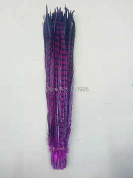 

Free shipping 100pcs/lot 30-35cm 12-14 inches fuchsia pheasant feathers Lady Amherst Pheasant Tail Feathers