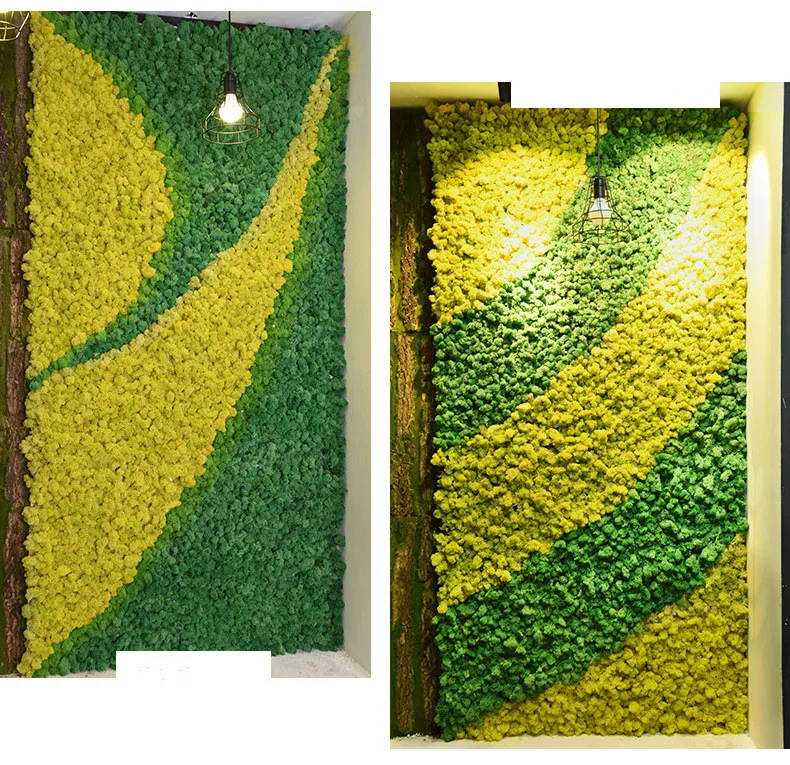 Искусственное растение вечная жизнь Мох/сад украшение дома стены DIY цветок материал Мини Сад Микро Ландшафтные аксессуары