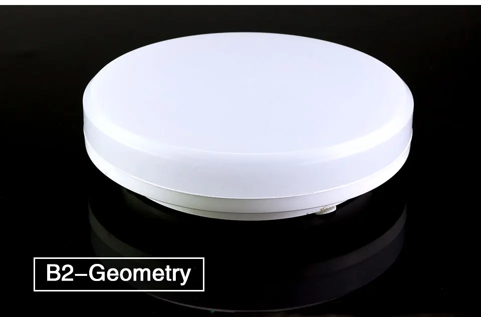 LED Ceiling light (28)