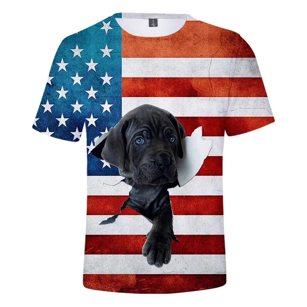 

Men's fashion T-shirt summer new independent day American flag printing simple large size XXS-XXXXL T-shirt#D10-Y5