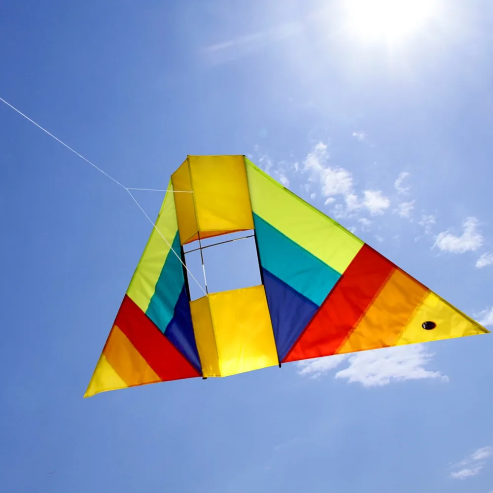 3D Kite Flying Animal Cock Single Line Delta Box Kite with 100m Kite Line Kids Children Toy Gift Outdoor Fun