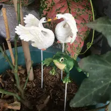 3 шт, Европейский Лебедь лягушка цветок для украшения сада вставить украшения лоза стойки мясистые большой цветочный горшок мох Садоводство продукты