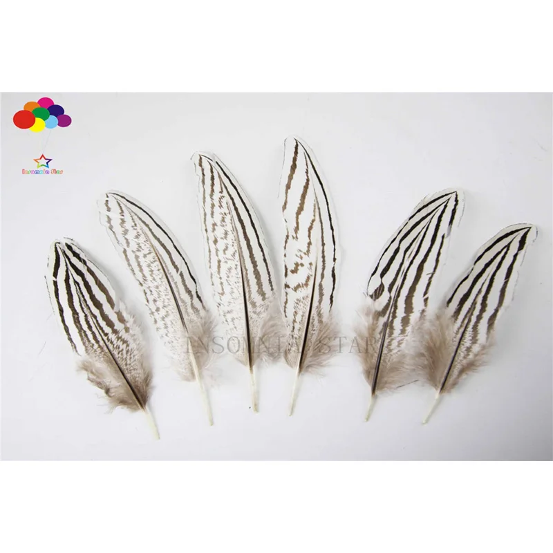 

10pcs 100% natural premium pheasant feather 10-15cm/4-6inch white brown tail beautiful for Diy carnival costume mask headdress