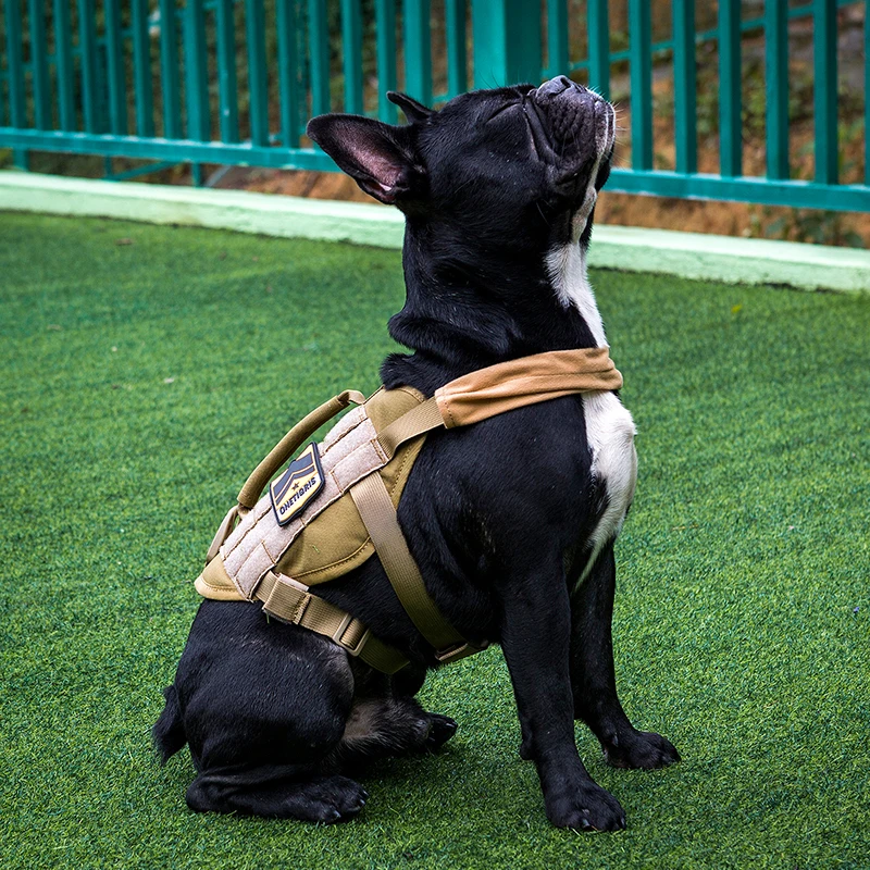 OneTigris MOLLE Жилет для собак маленького размера для прогулок, походов, охоты, тактический военный Молл, тренировочный жилет для службы собаки