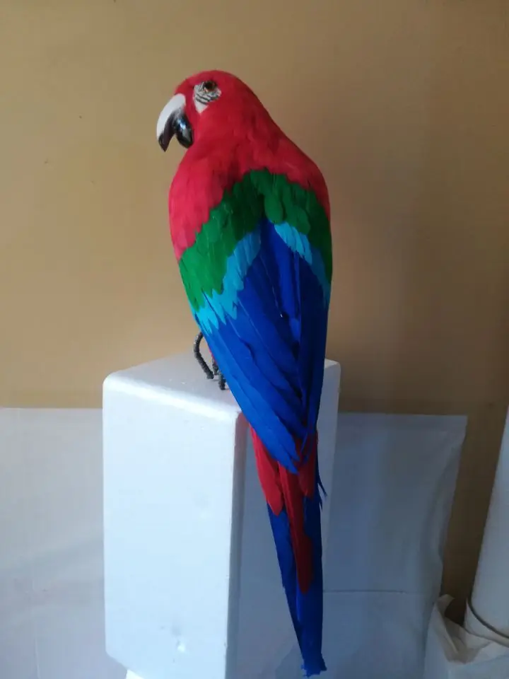 about-large-60cm-red-blue-feathers-parrothandmade-modelcolorful-feathers-parrot-stage-prophome-garden-decoration-toy-w0758