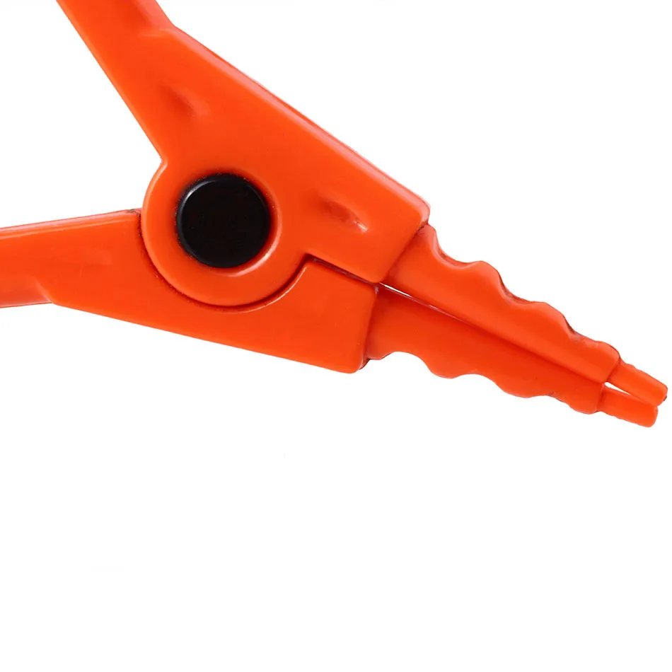 3725451962_764914932