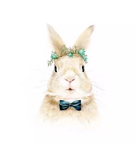 rabbit banner