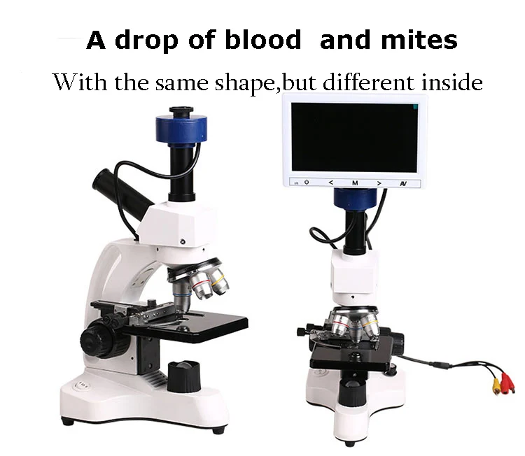 Professional Biological Microscope 400X with 3 Inches LCD Screen For Blood Detection Mites Aquaculture Instrument-31
