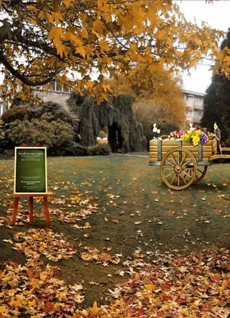 

300Cm*200Cm(About 10Ft*6.5Ft) Backgroundsautumn Maple Leaves Photography Backdropsthick Cloth Photography Backdrop 3201 Lk