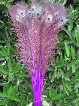 

Wholesale 50pcs beautiful purple peacock feather eye 70-80 cm / 28-32 inch decorative celebration