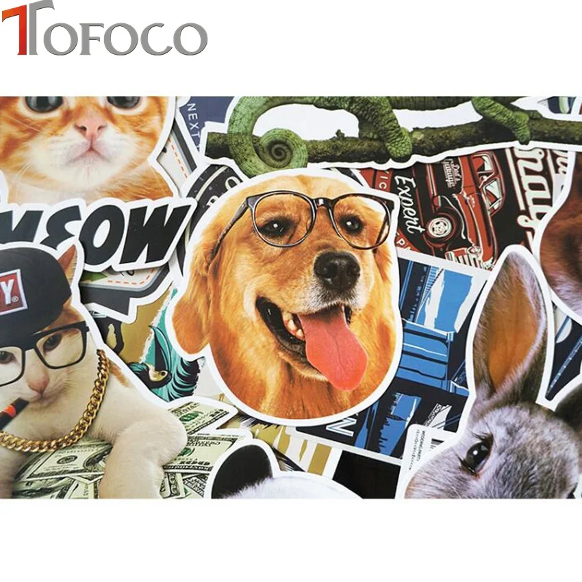 xq01185stickE4
