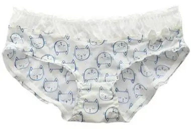 36020181211163534004