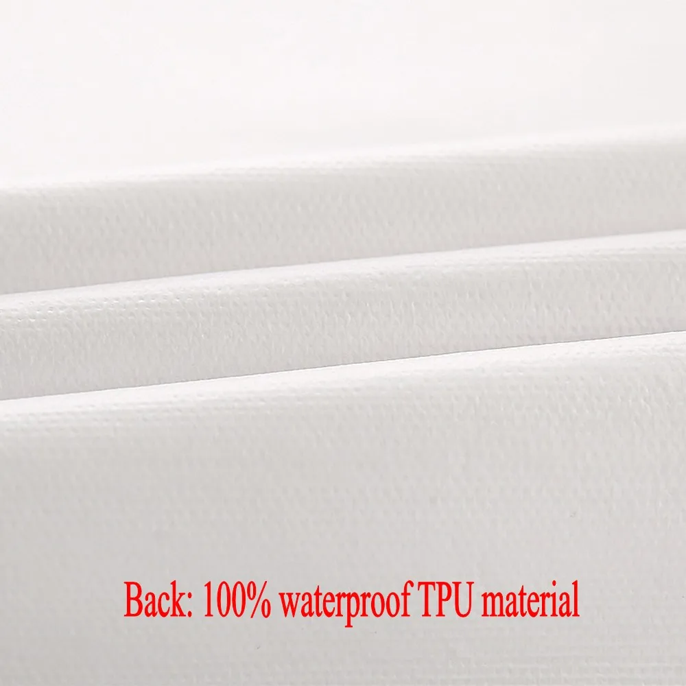 2869263417_87687631_conew1