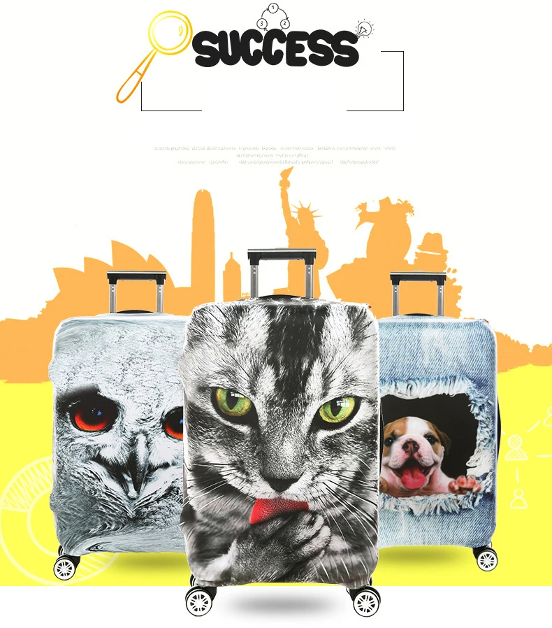 4240911797_322839970