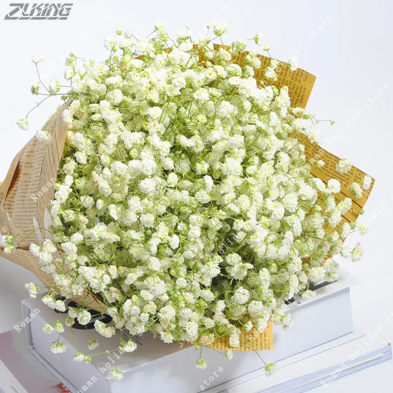 

ZLKING Gypsophila Pink Gypsophila Paniculata Flowers Home Bonsai Potted Plant 100 /bag