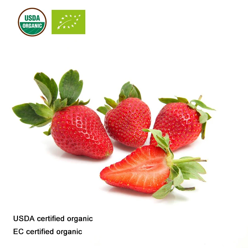 USDA и EC сертифицированный органический порошок клубничного сока