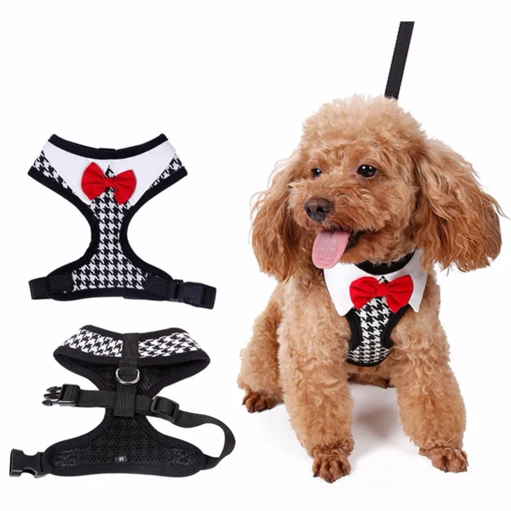 61P1eVwWrLL._SL1001_