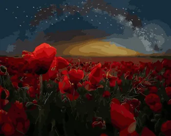 

Unframe diy picture oil paintings by numbers paint by number for home decor canvas painting 5065cm rose field
