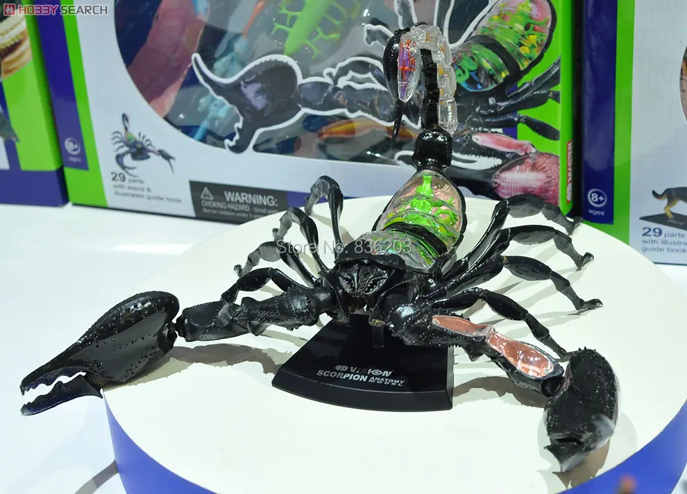 Модель 4D Master Vision Scorpion анатомическая модель разрезная зернистая