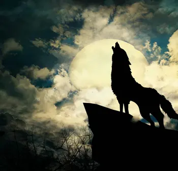 

Wolf Silhouette Full Moon Clouds photo backdrop Vinyl cloth High quality Computer print party photo studio background