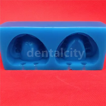 

New Silicone Blue Dental Plaster Model Mold Mould of Edentulous Jaw Complete Cavity Block with hole