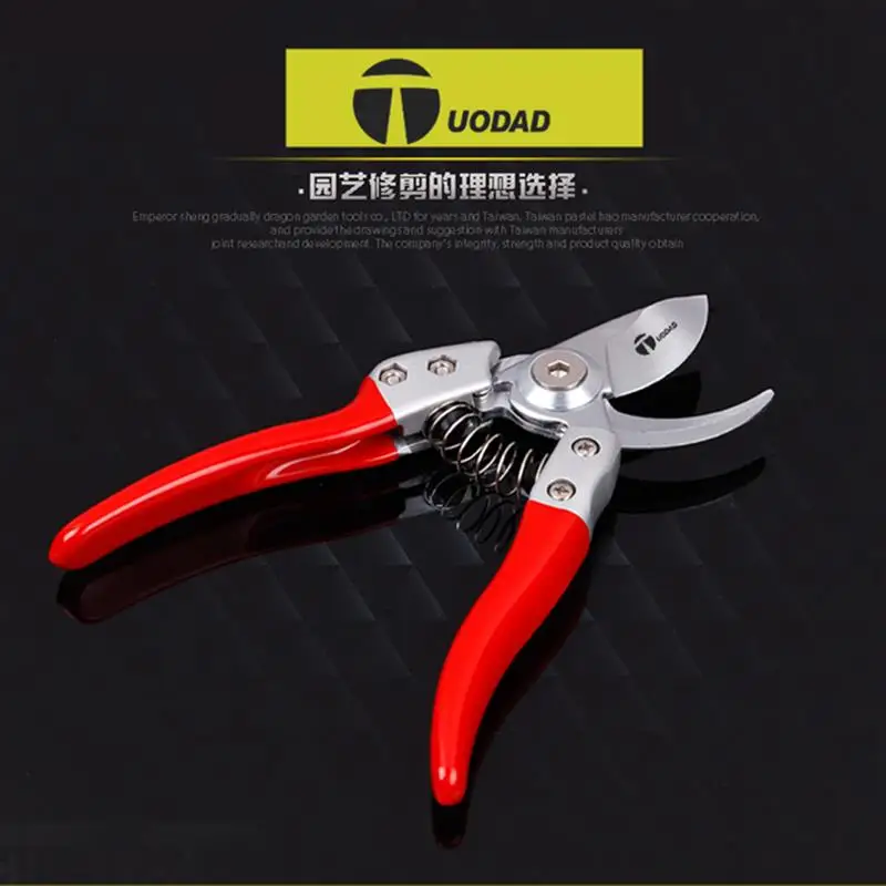 Germany imported garden tools scissors flower pruning scissors cut