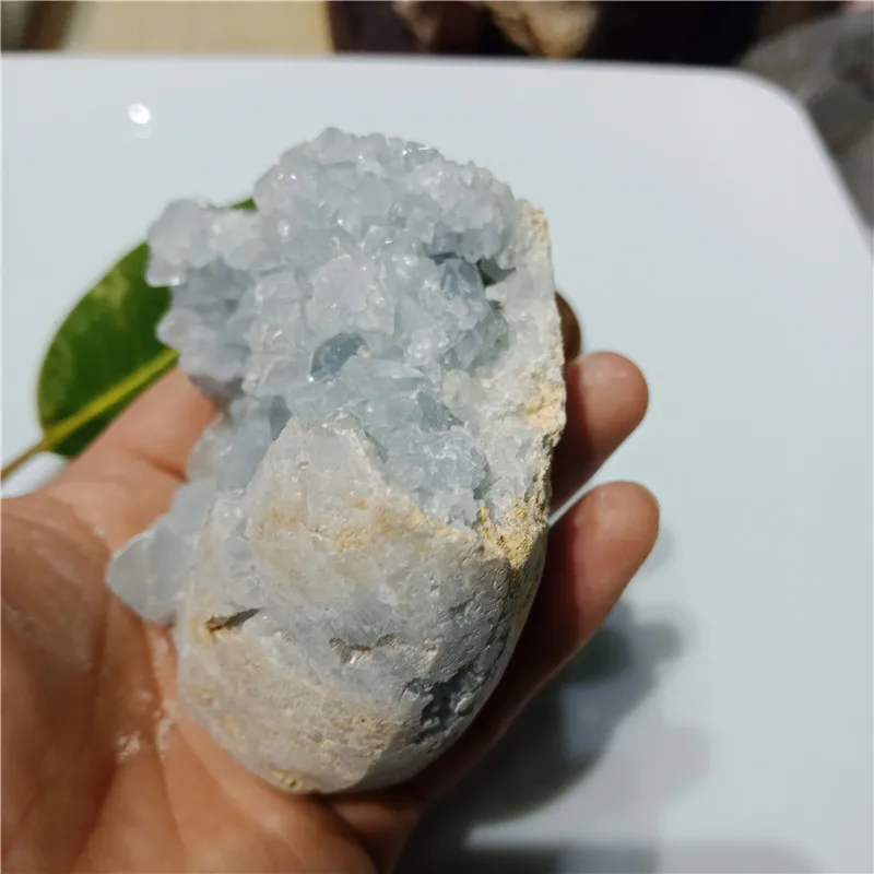 IMG20190224115253