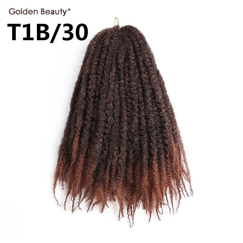 T1B30