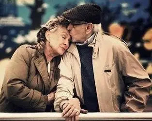 Пары ожерелье подвески Сращивания серебро кулон снежинка Подвески серебряные