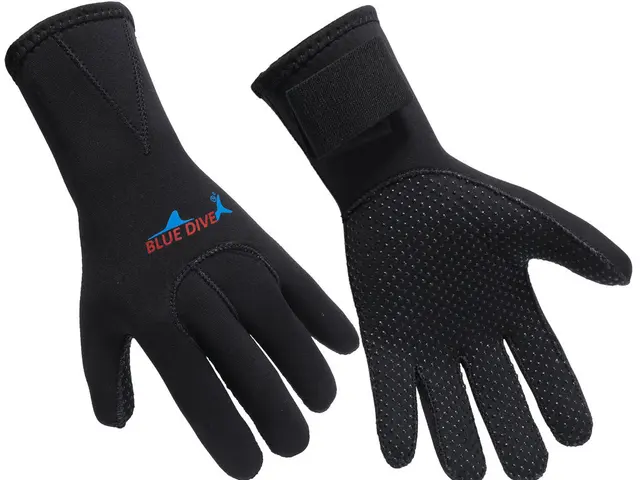 warmest diving gloves