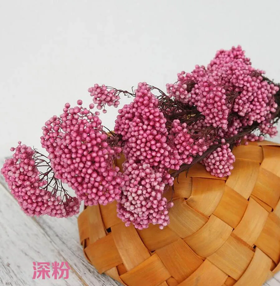 永生米花(爱考拉电子)-深粉