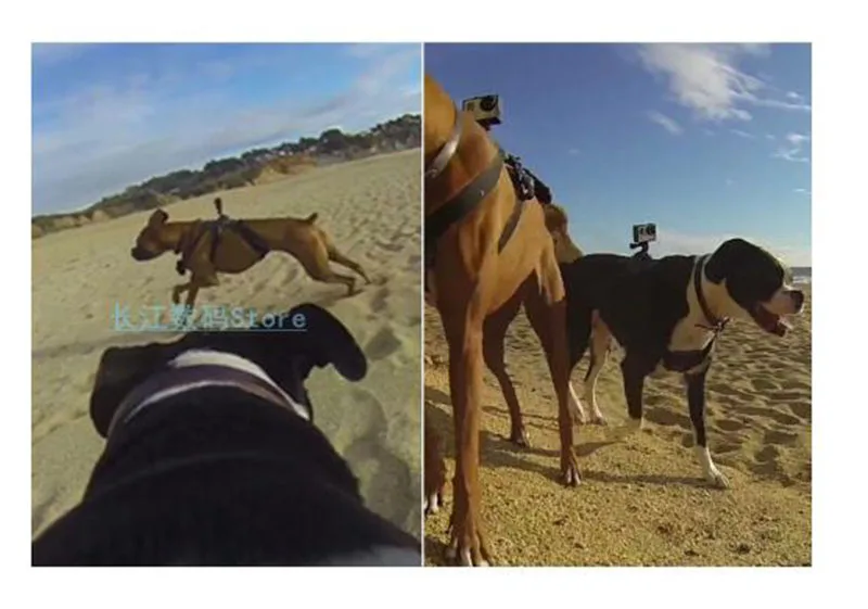 Нагрудный ремень для домашних питомцев нагрудный Gopro Hero 5 4 3 SJCAM Спортивная